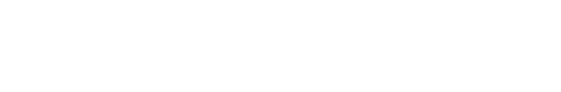 Loomis Express logo